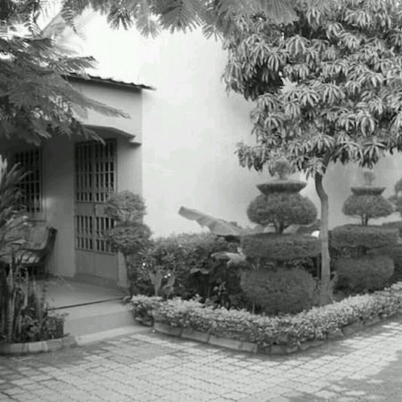 Meet your Posher, Damien - Picture 1 of 1